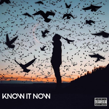 Know it Now | Boomplay Music