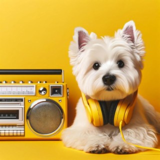 Relaxed Dog: Deep Chill, Audio Therapy, Music for Your Dog