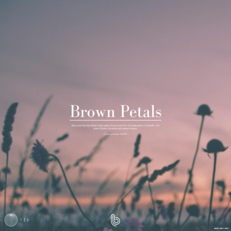 Brown Petals ft. Fia De Luca | Boomplay Music