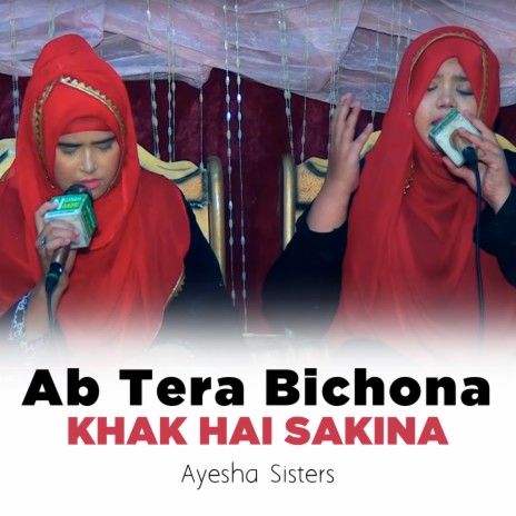 Ab Tera Bichona Khak Hai Sakina | Boomplay Music