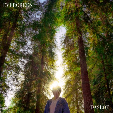 evergreen | Boomplay Music