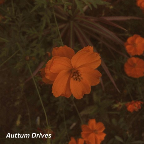 Auttum Drives | Boomplay Music