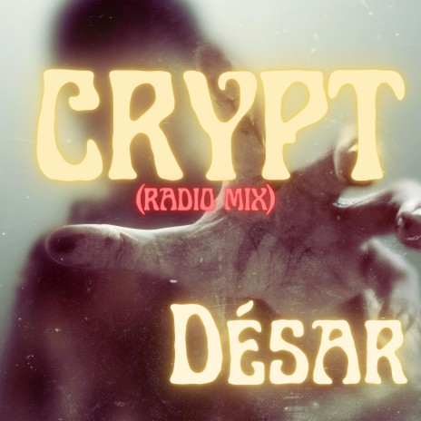 CRYPT (Radio Mix) (Radio Edit) | Boomplay Music
