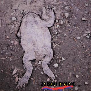 A very flat toad