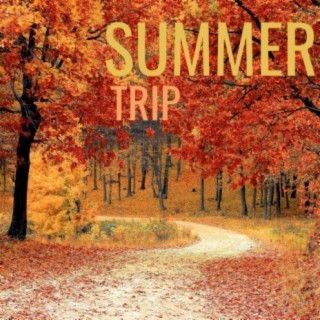 Summer Trip