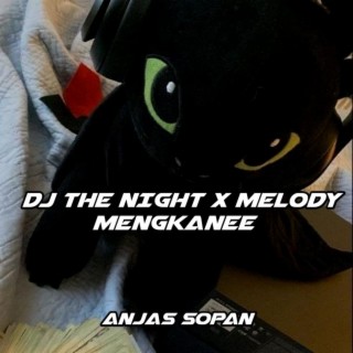 DJ THE NIGHT X MELODY MENGKANEE