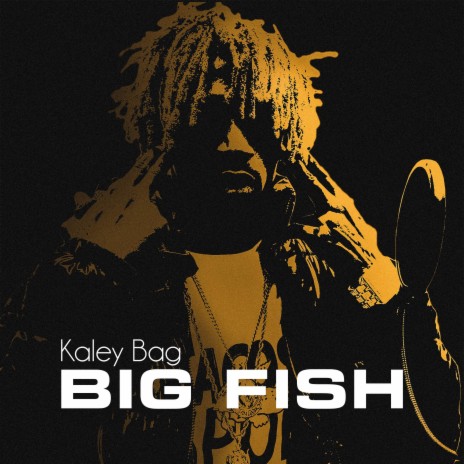 Big Fish | Boomplay Music