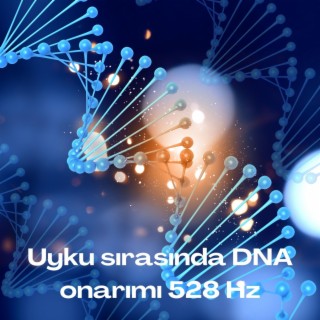 Uyku sırasında DNA onarımı 528 Hz - Sinir sistemini iyileştirme, Beyin dalgası terapisi için müzik