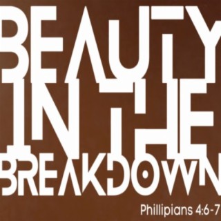 Beauty In The Breakdown