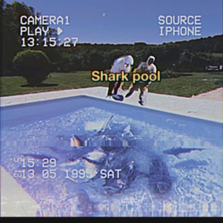 Shark pool