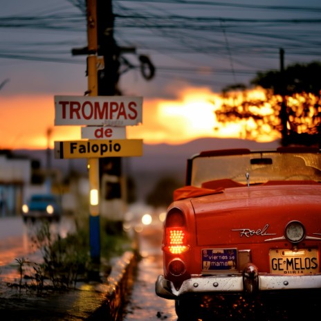 Trompas de falopio | Boomplay Music