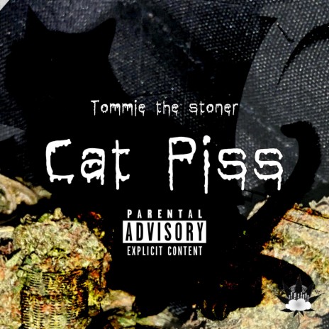 Cat Piss | Boomplay Music