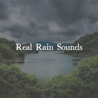 Real Rain