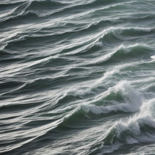 Waves of the Danube