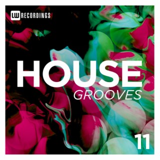 House Grooves, Vol. 11