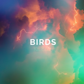 Birds lyrics | Boomplay Music