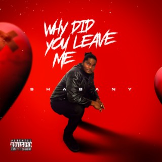 WHY DID YOU LEAVE ME (OFFICIAL AUDIO)