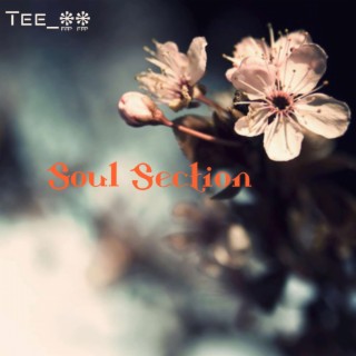 Soul Section