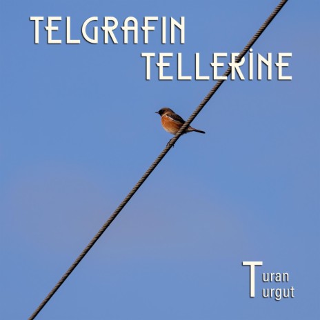 Telgrafın Tellerine | Boomplay Music