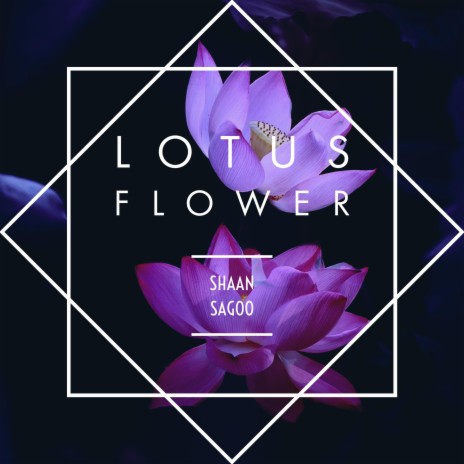 Lotus Flower