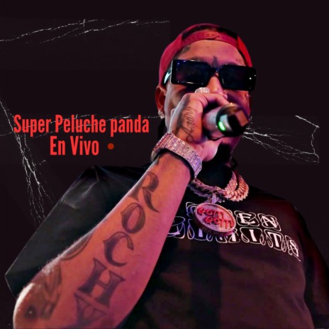 Super Peluche Panda (En Vivo) | Boomplay Music
