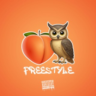 BBLDrizzy Freestyle