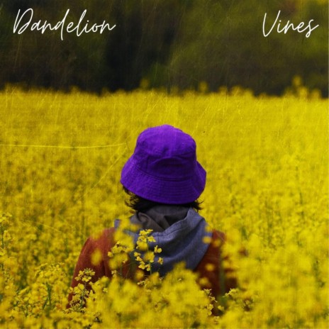 Dandelion Vines