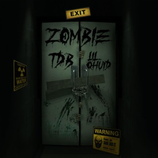 Zombie (Freestyle) ft. Lil Qhuid lyrics | Boomplay Music