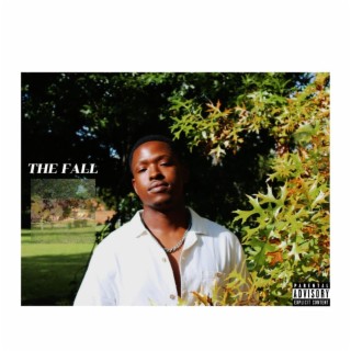 The FALL lyrics | Boomplay Music