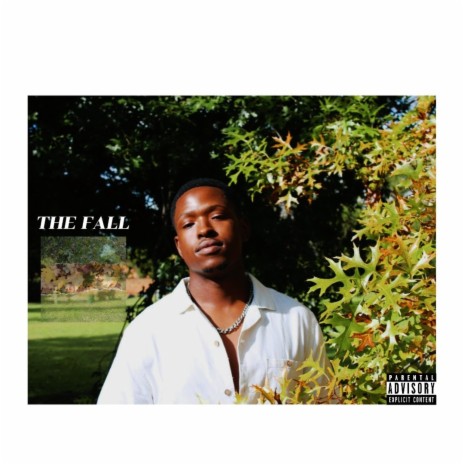 The FALL | Boomplay Music
