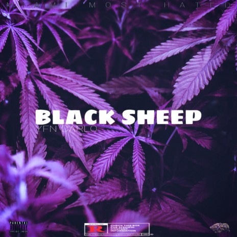 Black Sheep | Boomplay Music