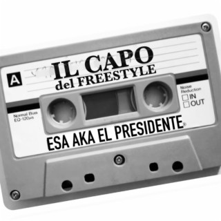 Il Capo del Freestyle