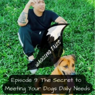 The Secret to Meeting Your Dogs Daily Needs