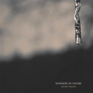 Winter Twilight (EP)