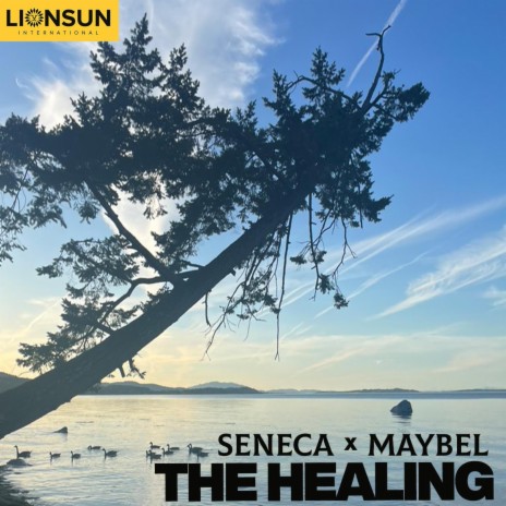 The Healing ft. Maybel | Boomplay Music