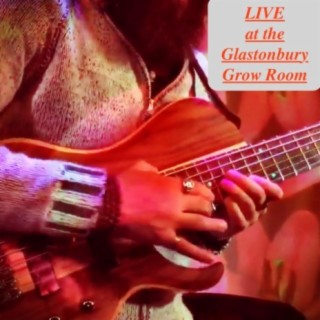 Live at the Glastonbury Grow Room