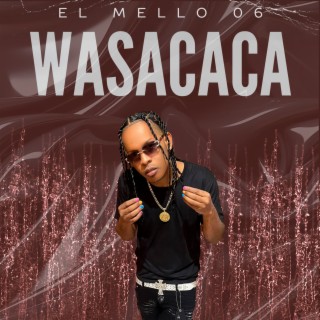 Wasacaca