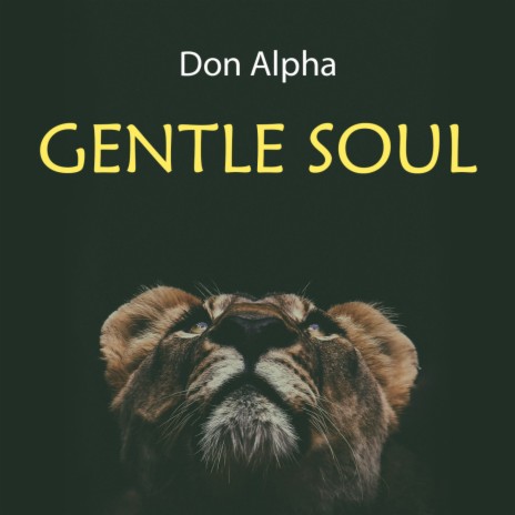 Gentle Soul | Boomplay Music