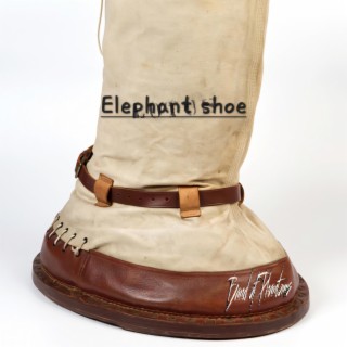 elephant shoe