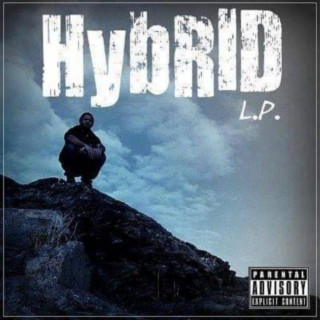 Hybrid Lp