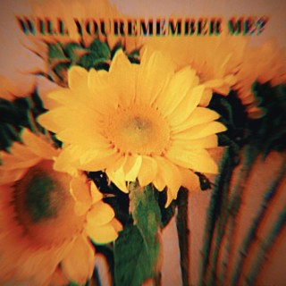 Will You Remember Me?