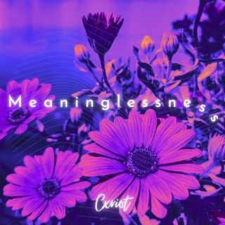 Meaninglessness