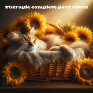 Thérapie complète pour chats : Liste de lecture pour chatons reposants