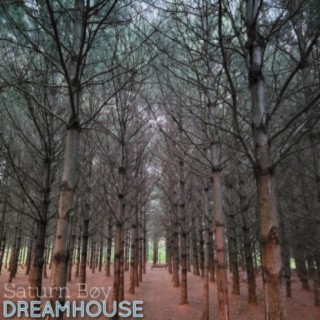 DREAMHOUSE