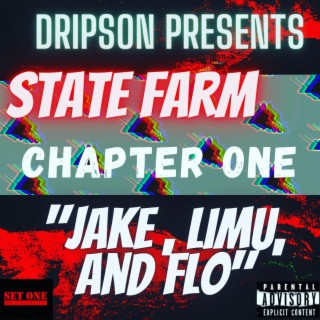 State Farm Chapter one