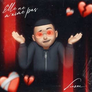 Elle ne m'aime pas lyrics | Boomplay Music