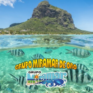 Grupo miramar de Oro