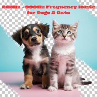 222Hz – 999Hz Frequency Music for Dogs & Cats