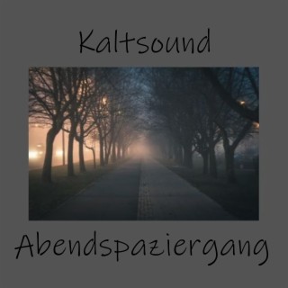 Abendspaziergang (Dub Tech)