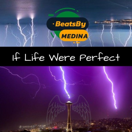 If Life Were Perfect ft. MEDINA | Boomplay Music